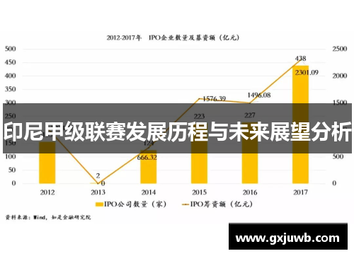 印尼甲级联赛发展历程与未来展望分析